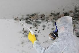 Best Commercial Mold Inspection  in Moscow, ID